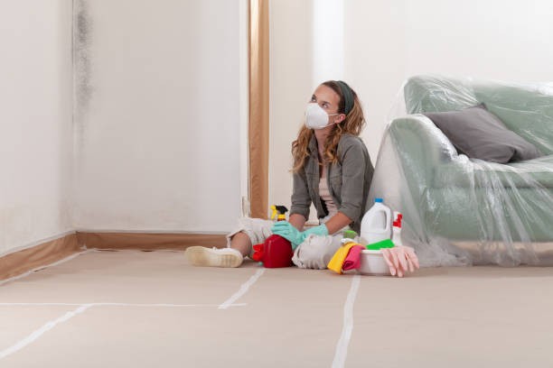 Reliable Mold Remediation contractor in Lovettsville, VA by 24 Hour Mold Removal